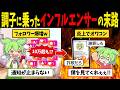 インフルエンサーずんだもんの末路【ずんだもん闇解説】