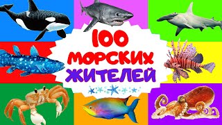100 морских обитателей и рыб. Учим названия жителей моря и океана. Логопед для вас
