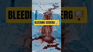 ANTARTICA'S BLEEDING ICEBERG🩸😳 #shorts #shortsfeed