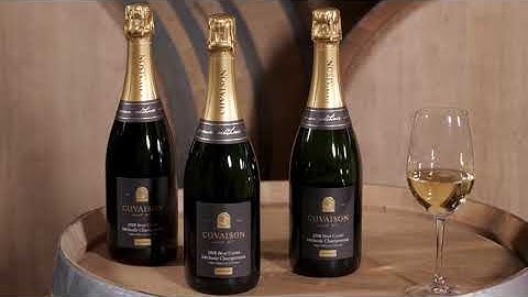 Winemaker Note | 2018 Brut Cuvée, Méthode Champenoise