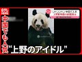 【シャンシャン】中国でも一般公開を前に人気に！ 上野動物園の副園長は…