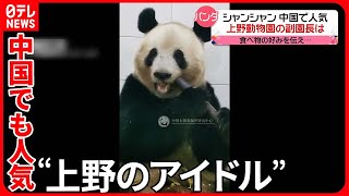 【シャンシャン】中国でも一般公開を前に人気に！ 上野動物園の副園長は…