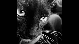 Famous EOD Player Gets Access to PVE Mode!!! #Tarkov #PVE #Escape from Tarkov Net Worth