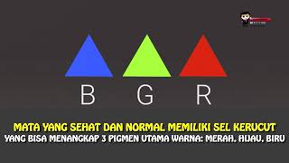 EnChroma Kacamata Khusus Penderita Buta Warna, Penderita Buta Warna Kini Bisa Membedakan Warna