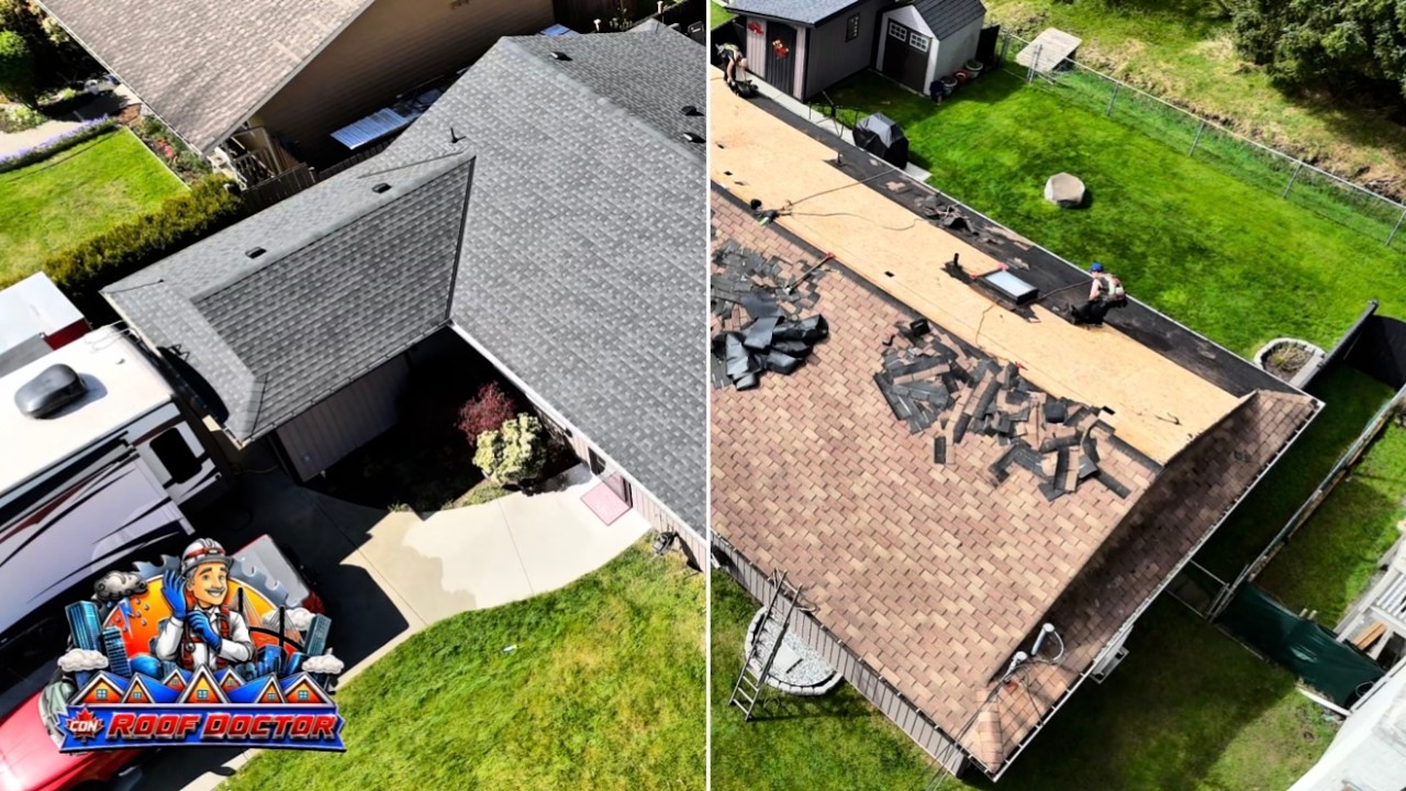 How To Re-Roof Asphalt Shingle Roof | Campbell River