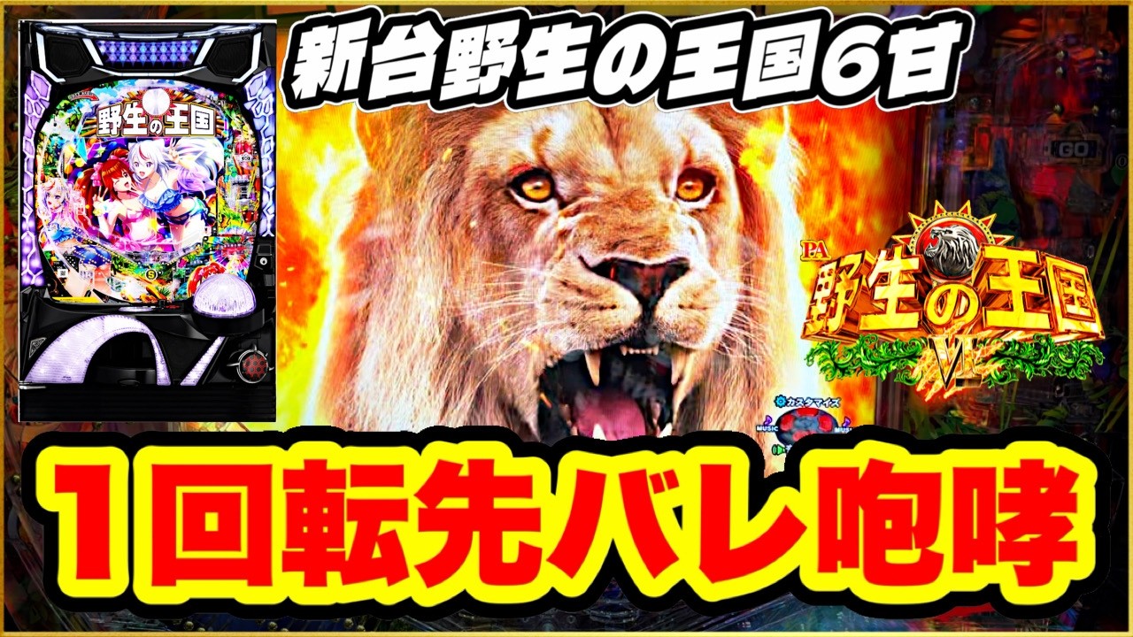 パチンコ新台 【野生の王国6甘デジ】 新台初日全国最速オスイチ1回転先バレ激アツ展開！ 甘デジで爆連が止まらない！ 百獣の王タイム突入！ 遊べる甘を待ってた！ 【PA野生の王国6】
