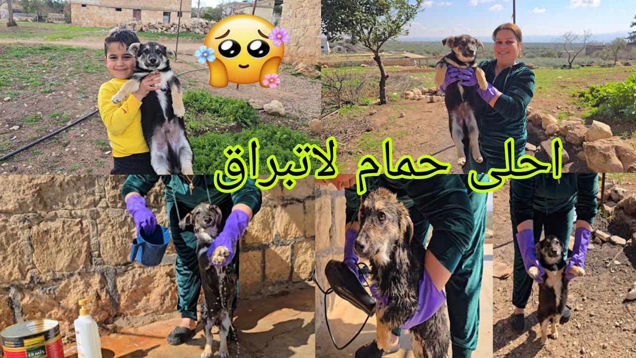 احلى حمام لا تبراق بعد المرض شوفوا قبل وبعد😇#اكسبلور 