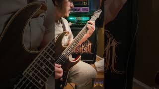 Mesa Tri Rec Facelift dmd metal mesaboogie facelift