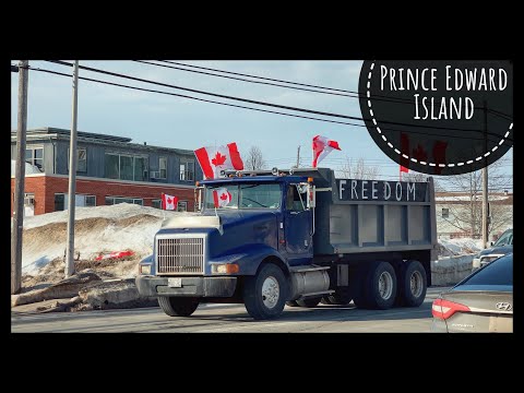Video: Cik maksā DZ licences iegūšana Ontario?