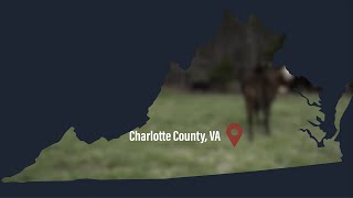 Thinned Pine Silvopasture Producer: (#2) Perspective From Charlotte Co. VA (SPES-417NP)