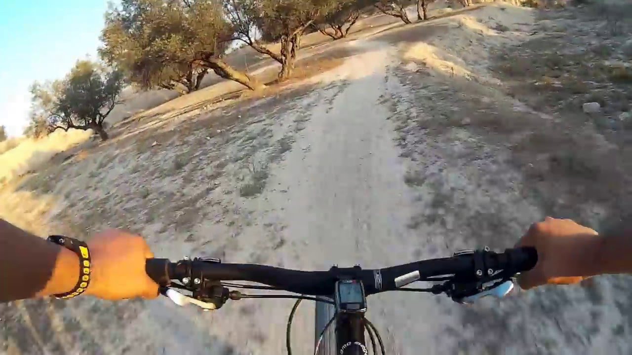fat bike megamo tank