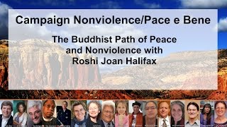 Campaign Nonviolence National Conference 8/8/15 - 4pm Session on Buddhist Nonviolence