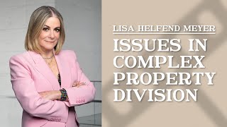 Issues in Complex Property Division | Lisa Helfend Meyer