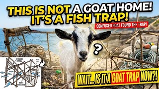 GOAT HOME OR FISH TRAP???