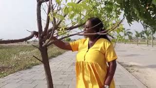 The AgsTribe Community screenshot 5