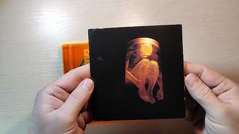 Alice in Chains - «Nothing Safe: Best of the Box»(CD 1999 unboxing)