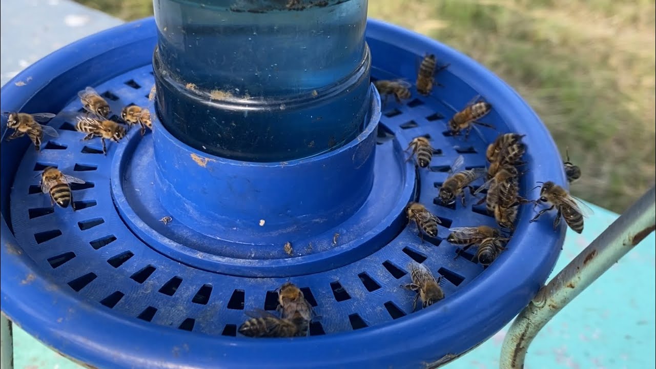 Kıtlık olan bir yıldayız-nektar yok-bal yok-ne yapılmalı