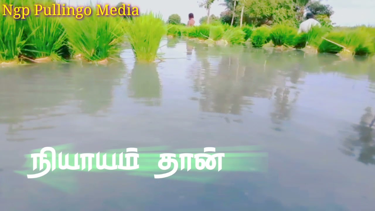 vivasayam 🌾🌾 what's app status video tamil 😘🌄🐥