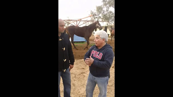 Dr Mayur M Dev and Randy Colton discussing the man...