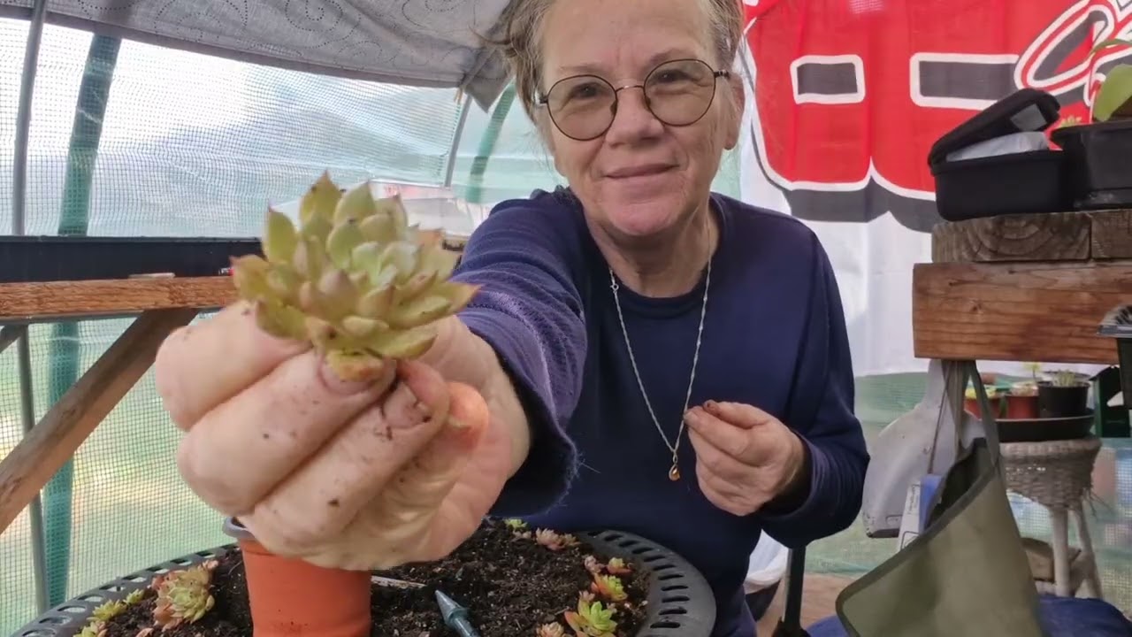 Hey Mom! Let's Work On The Birdbath Planter.