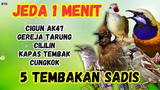 Download Lagu 🔴 KOMBINASI JEDA JEDA JEDA MASTERAN MURAI BATU GACOR MP3