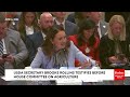 Sharice Davids Asks Brooke Rollins About Impact Of APHIS Staff Reductions On Cattle Disease Research