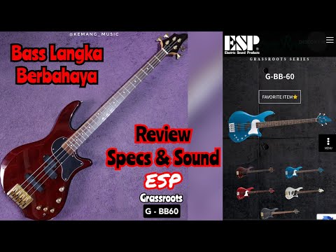 ESP GRASSROOTS G-BB-60 bass review #espgrassroots #grassrootsgbb60
