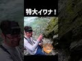 源流のヌシ…特大イワナが釣れた！ #shorts
