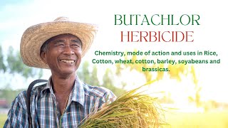 Understanding Butachlor Chemistry Mode Of Action And Uses  Rice Herbicide