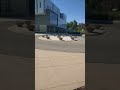Hostile Architecture or Beautification?