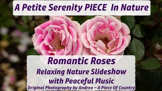 Romantic Roses ~ Relaxing Nature & Peaceful Calming Music ~ 4K Original Photography Slideshow