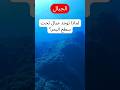 لماذا توجد جبال تحت سطح البحر أسرار المحيطات جيولوجيا علوم مبسطة وثائقي قصير