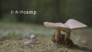 シルコcampチャンネル開設 | キャンプ動画がメイン | 登録よろしくお願いします |