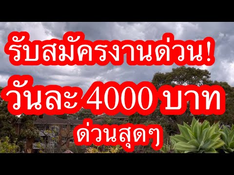 สมัครงานด่วน‼️ร้านนวดซิดนีย์‼️รับสมัครงานนวดวันละ 4000 บาท