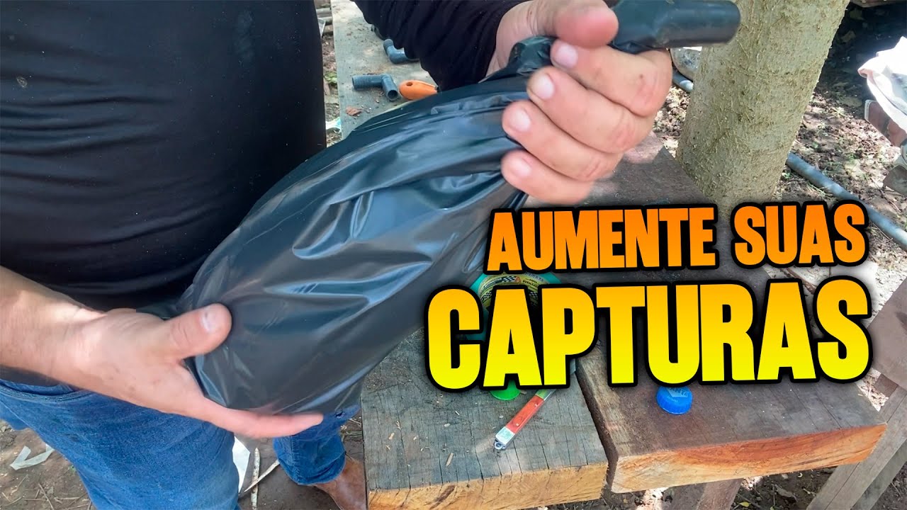 Ninho Isca para Abelhas Nativas 🐝 O Jeito CERTO (sem mitos e sem erro!)