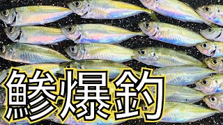 千葉県 堤防サビキでアジ爆釣 ファミリーフィッシングにオススメの釣り場 釣り初心者へオススメ 鯵はそこにいた Youtube