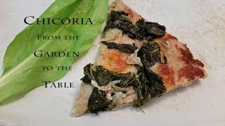 Cicoria: From the Garden to the Table