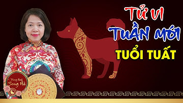 Vận Mệnh Tài Lộc Tuổi Tuất (Chó) Tuần Mới Từ 1/8 Đến 7/8/2022 | PTSH TV