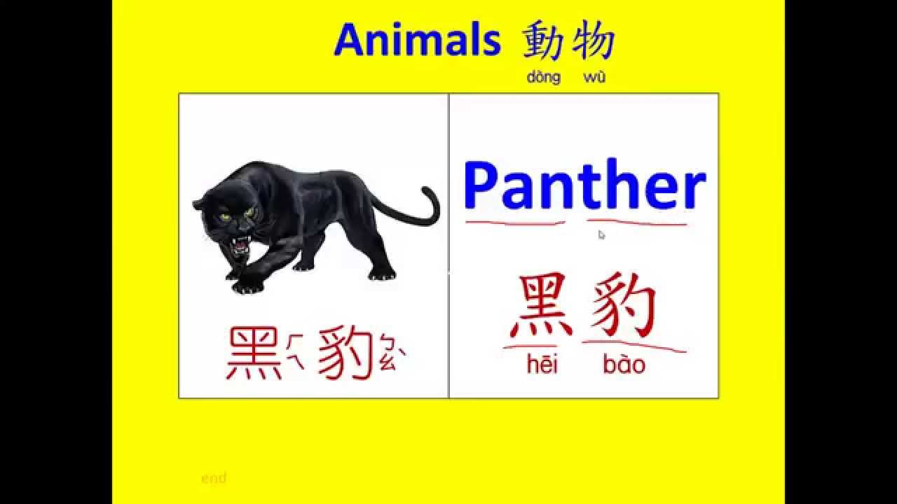 Abc英語動物中英文名稱19 Learning English And Chinese About Animals Youtube