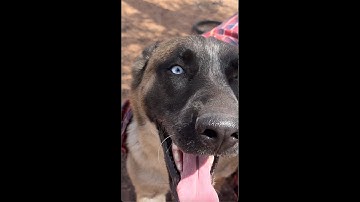 #acting #books #characterdevelopment #scene #artclass