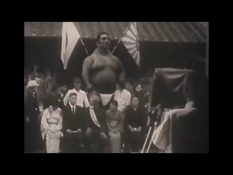 უკანასკნელი შემორჩენილი ვიდეო კადრი გოლიათის შესახებ