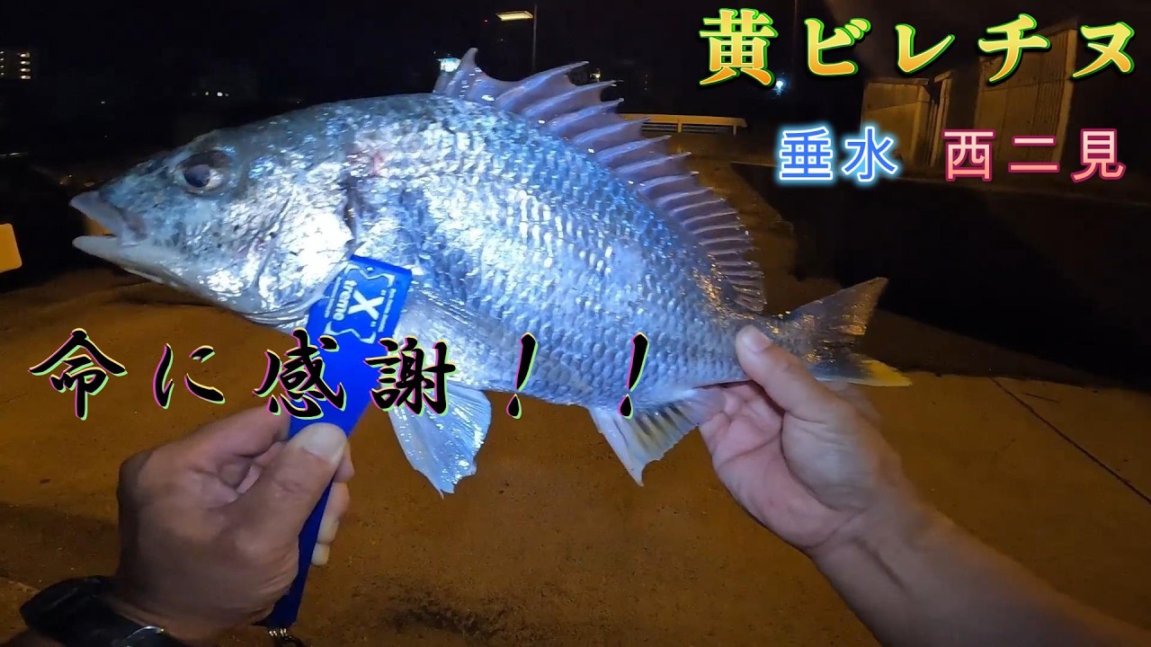 Two Days' Worth of Catch! Grateful for the Life! - YouTube