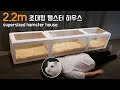 초호화 럭셔리 하우스에서 2M 초대형 하우스로 이사간 햄스터 / A hamster moved from a luxurious house to a 2M super house