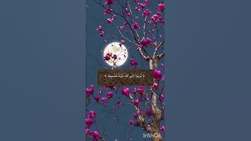 #آيات #تلاوات #آيات_القرآن_الكريم #راحة_نفسية #ارح_قلبك #دعاء_مستجاب