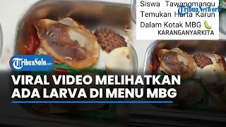 Viral Video Buah Salak dalam Menu MBG di Tawangmangu Karanganyar Membusuk
