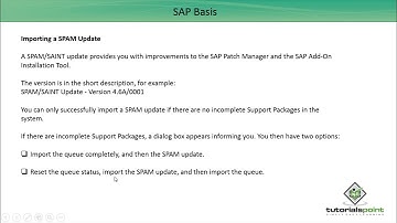 SAP Basis - SPAM Load & Update