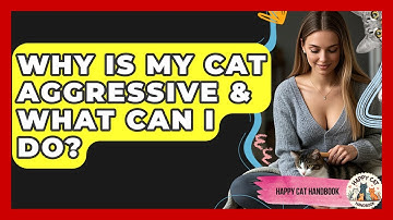 Why Is My Cat Aggressive & What Can I Do? - Happy Cat Handbook