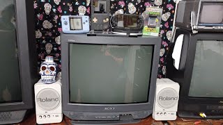 I got this Sony Trinitron KV 20S40 for free!