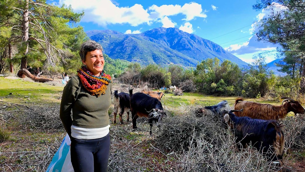 Его уволили с работы, и он начал путешествовать по миру 🌎!(Он вернулся домой по зову Анатолии!)