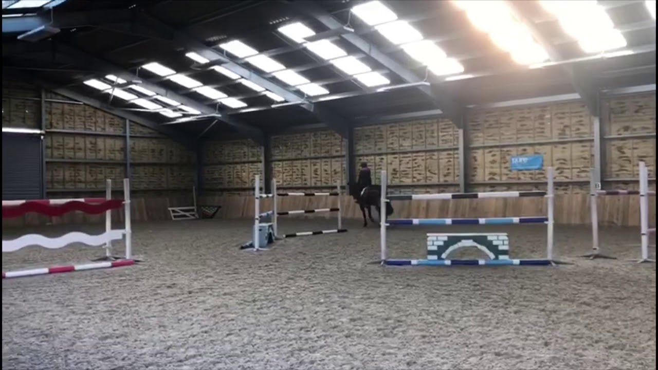 Adonis V | Charly Edwards | 26/11/2018 | Training at Home